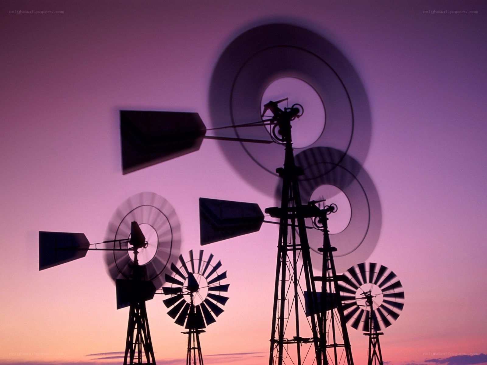 Windmills at sunset