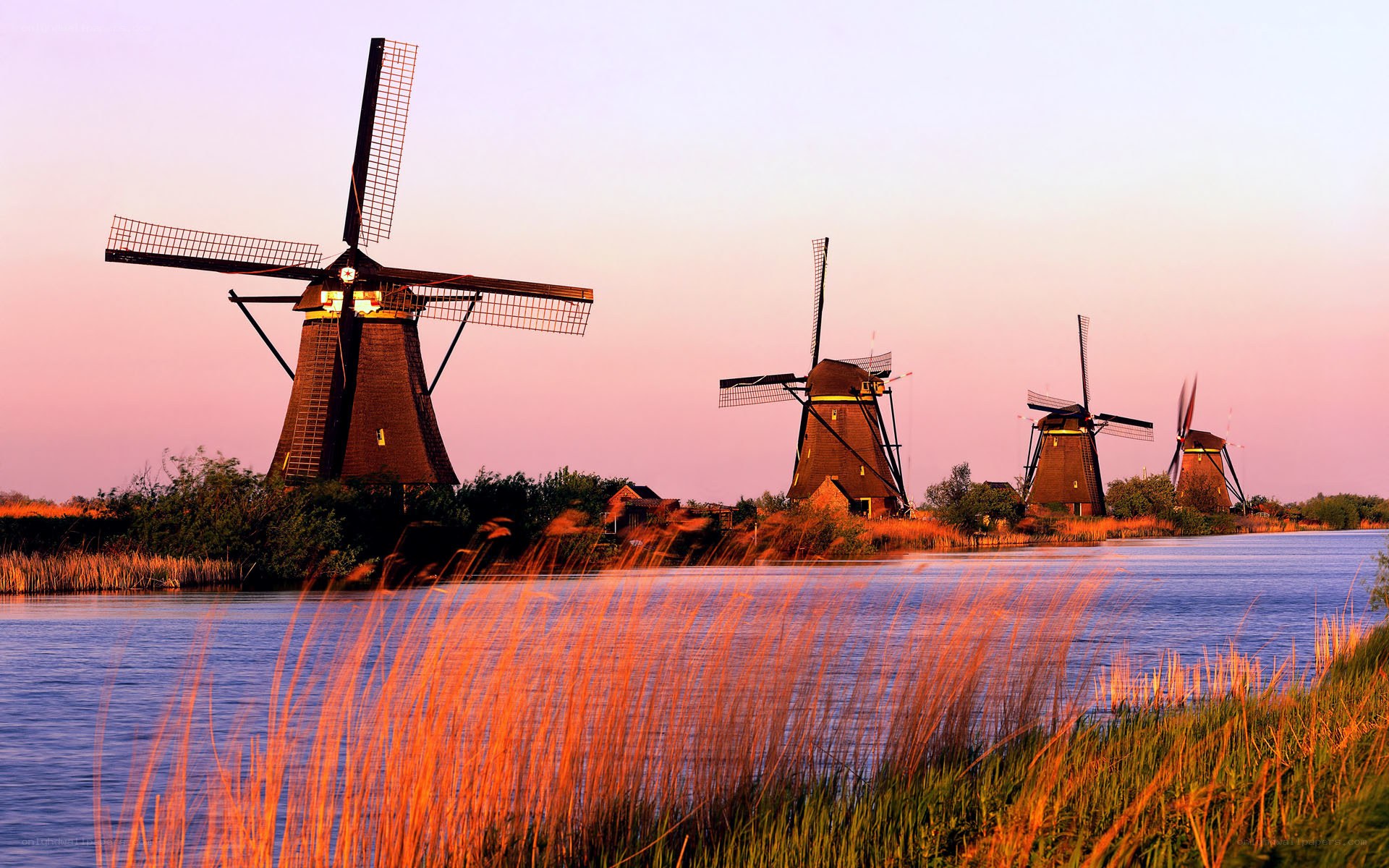 Windmills at sunset