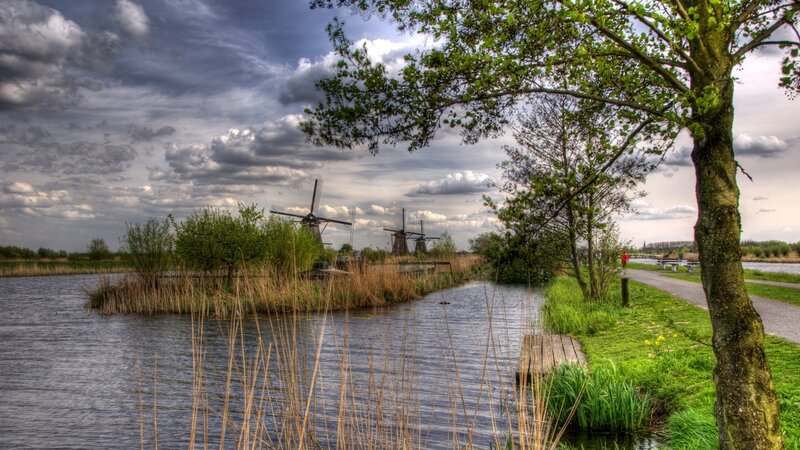 Windmills by a Canal — Green, Dramatic