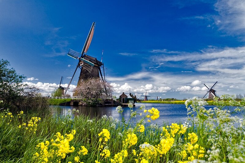 Windmills by a canal in the Netherlands