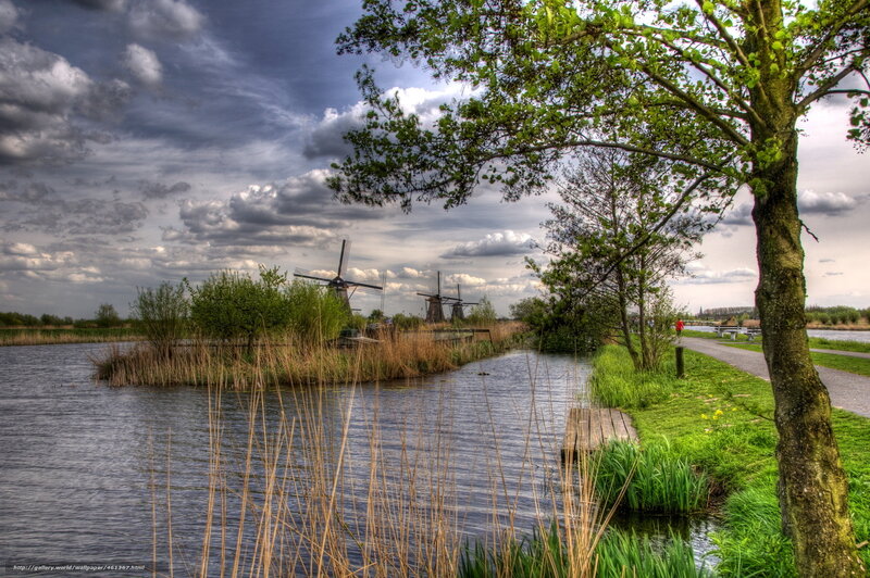 Windmills by a canal in the Netherlands
