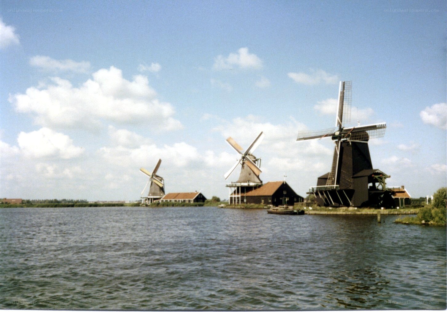 Windmills by the water