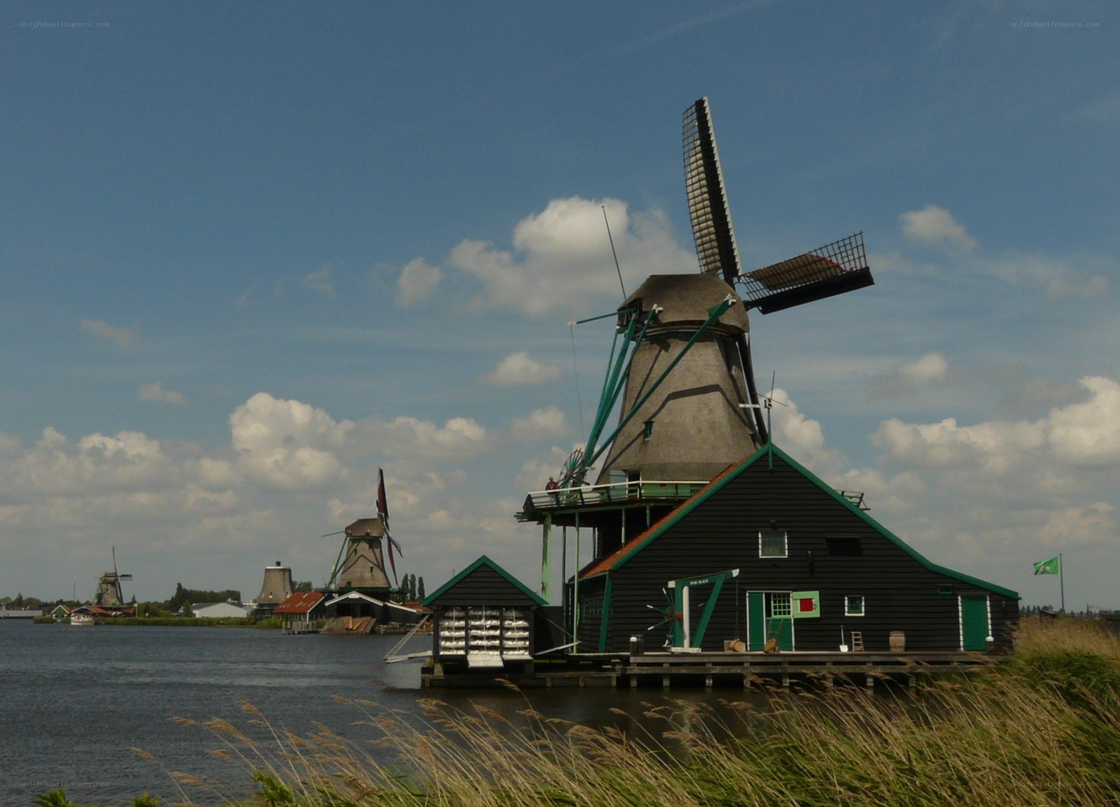 Windmills by the water