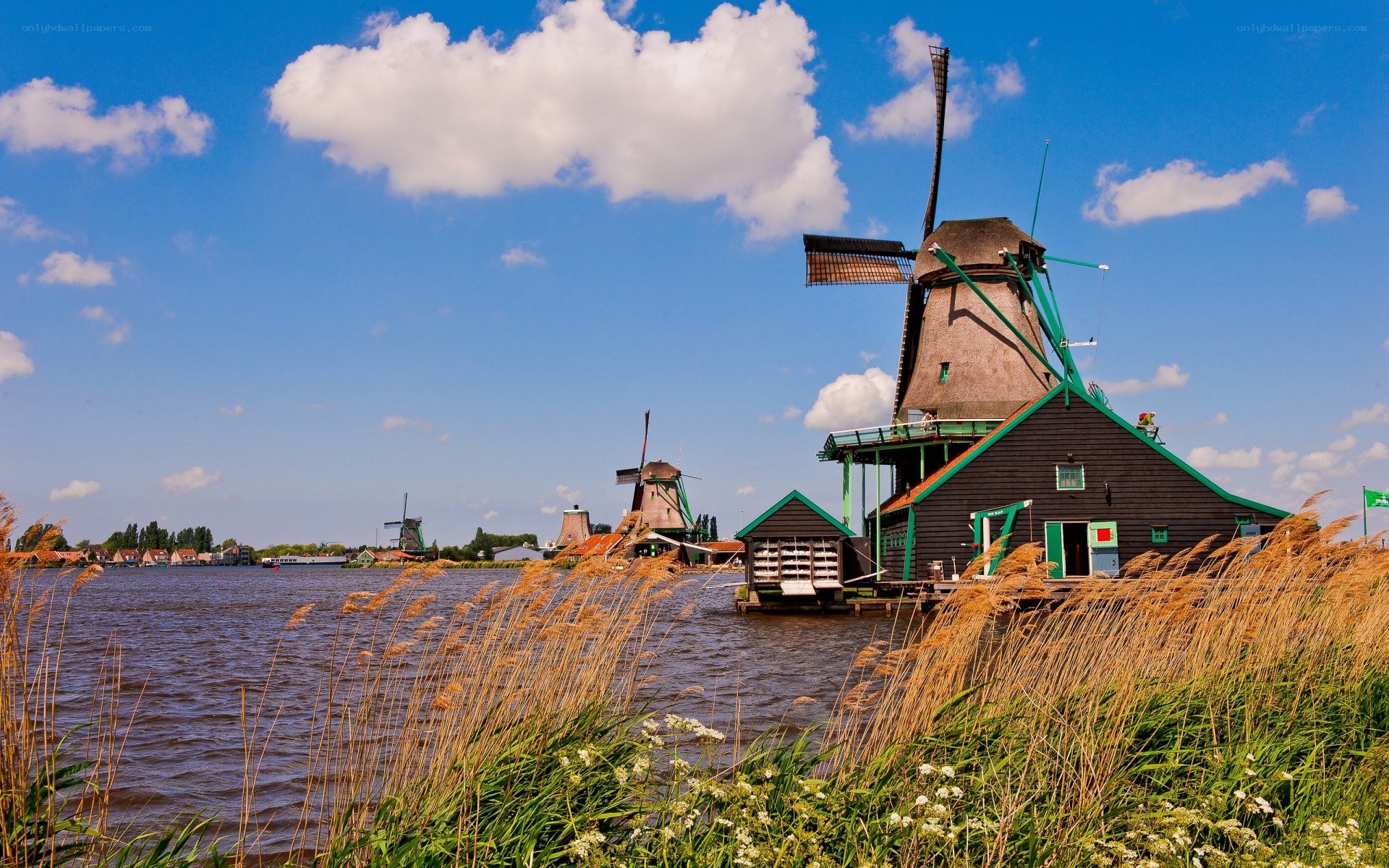 Windmills by the water