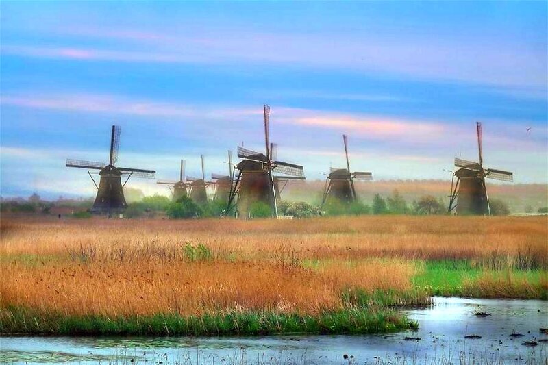 Windmills in a Dutch field