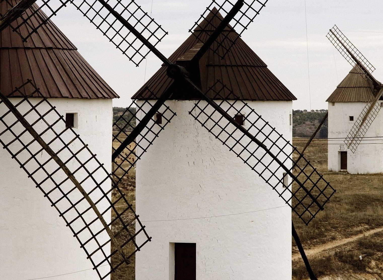 windmills in a field