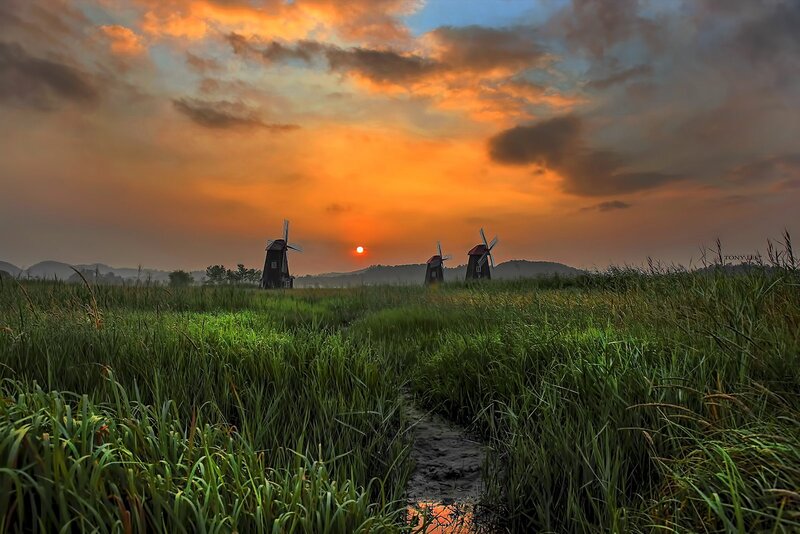 Windmills in a Field — Green, Dramatic