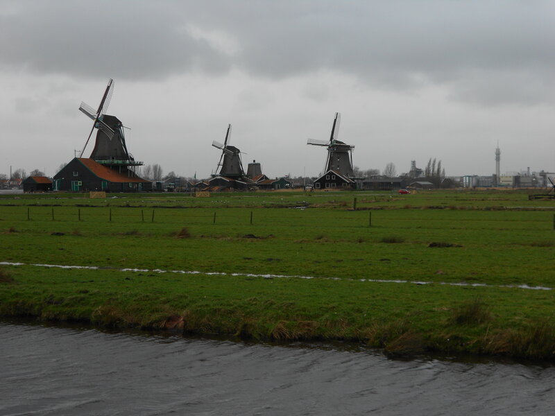 Windmills in a Field — Green, Overcast