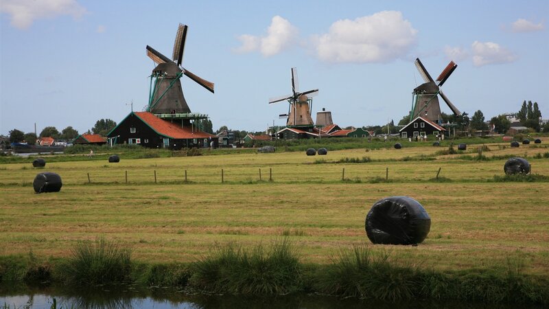 Windmills in a Field — Green, Serene, Afternoon