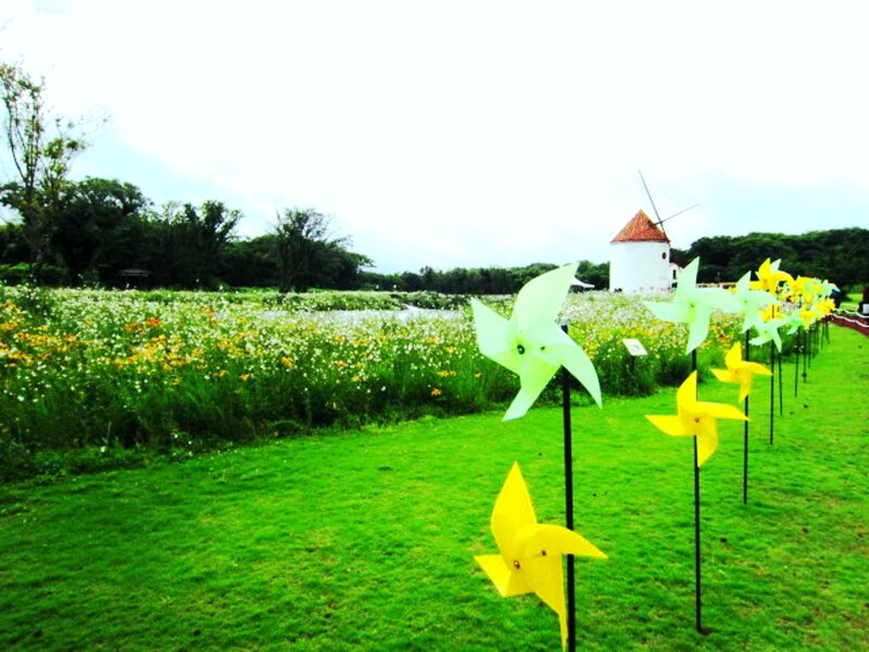 Windmills in a Field — Green