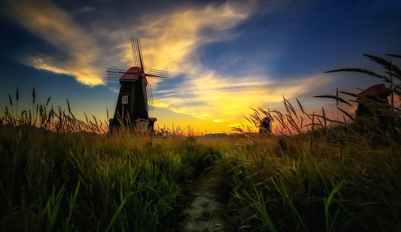 Windmills in a Field — Yellow