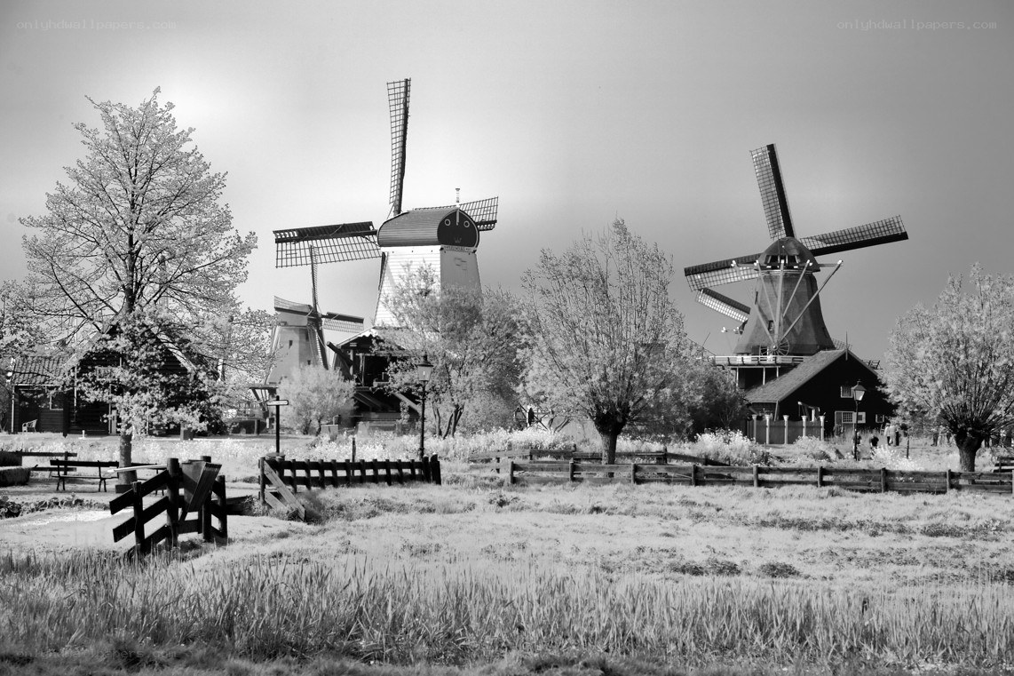 Windmills in a rural landscape