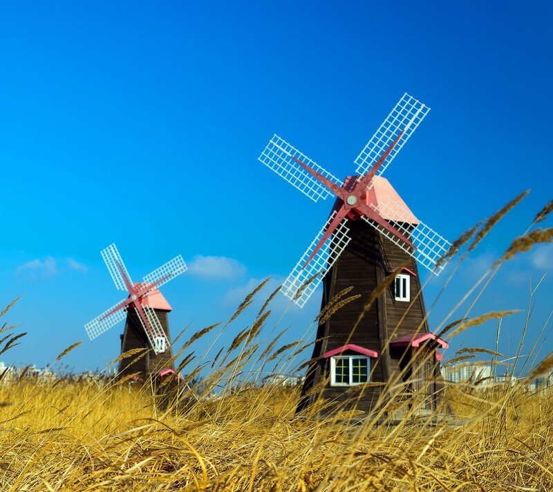 Windmills in Field — Blue