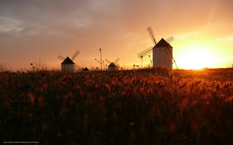 Windmills in Field — Orange, Serene, Sunset