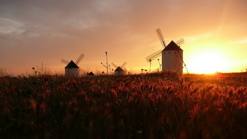 Windmills in Field — Orange, Serene