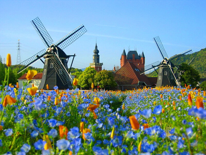 Windmills in Flower Field — Blue