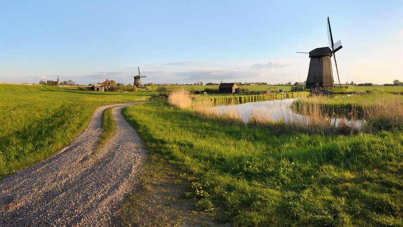 Windmills in Green Fields — Serene, Morning