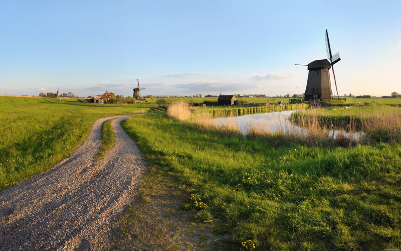 Windmills in Green Fields — Serene