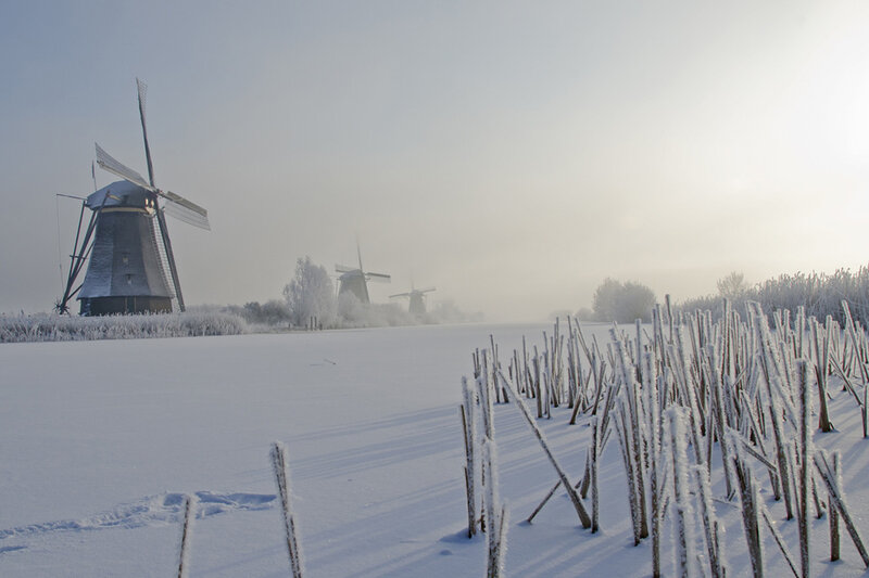 Windmills in Snow — White