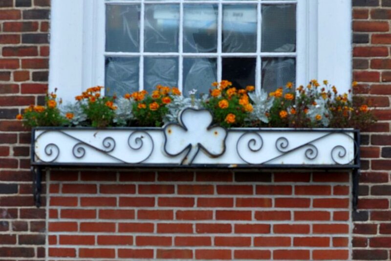 Window Box with Flowers — Red, Calm