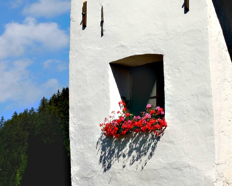 Window Box with Flowers — White