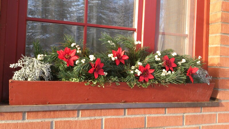Window Box with Poinsettias