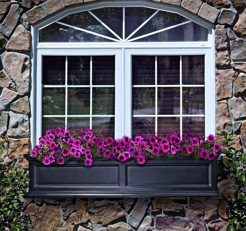window box with purple flowers