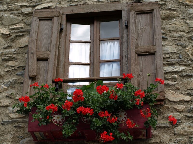 window box with red flowers