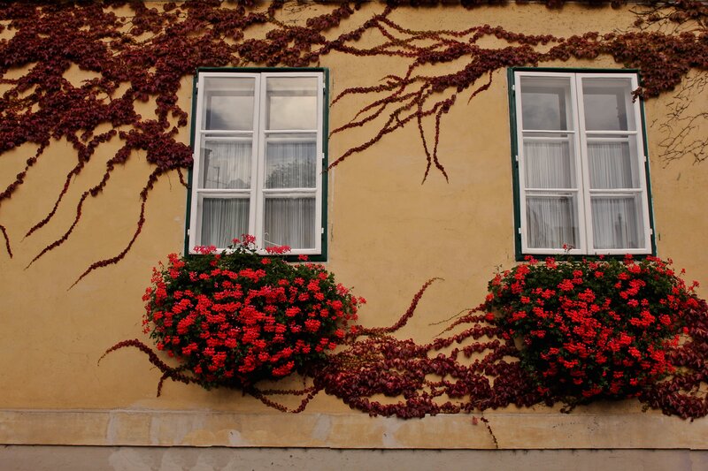 Window Boxes with Flowers