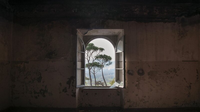 Window in Abandoned Building