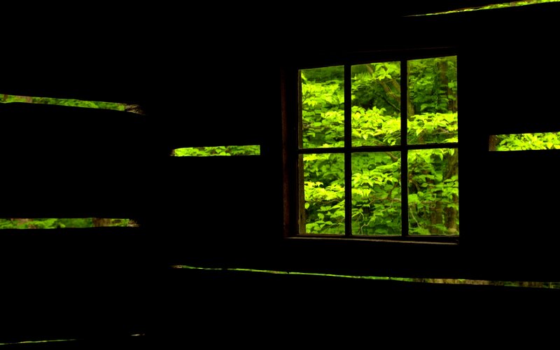 Window in Dark Cabin