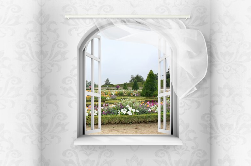 window view of a garden