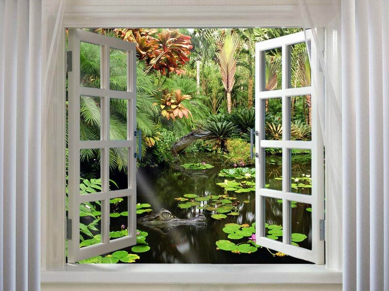 Window view of a swamp