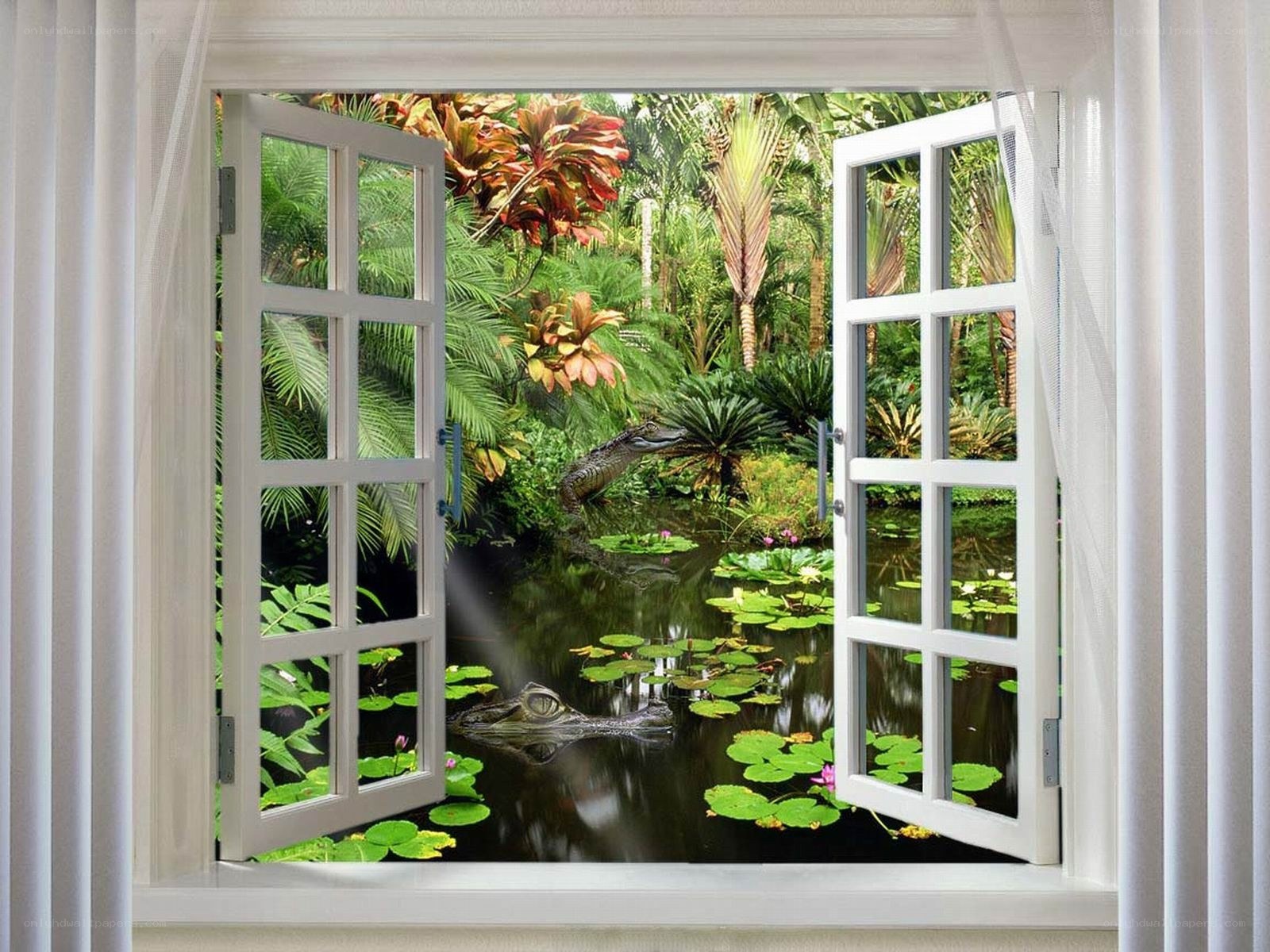 Window view of a swamp