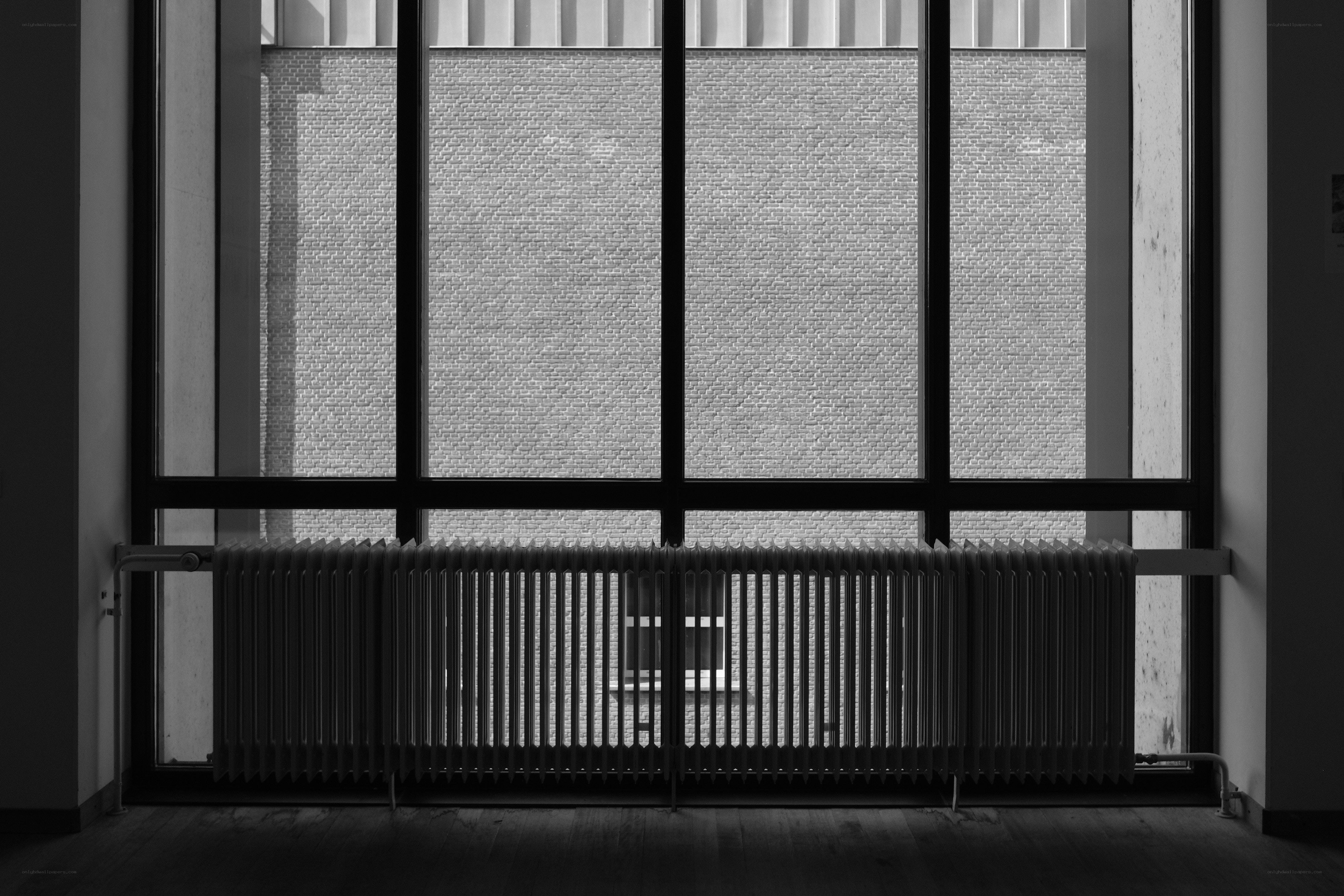 Window view of brick wall