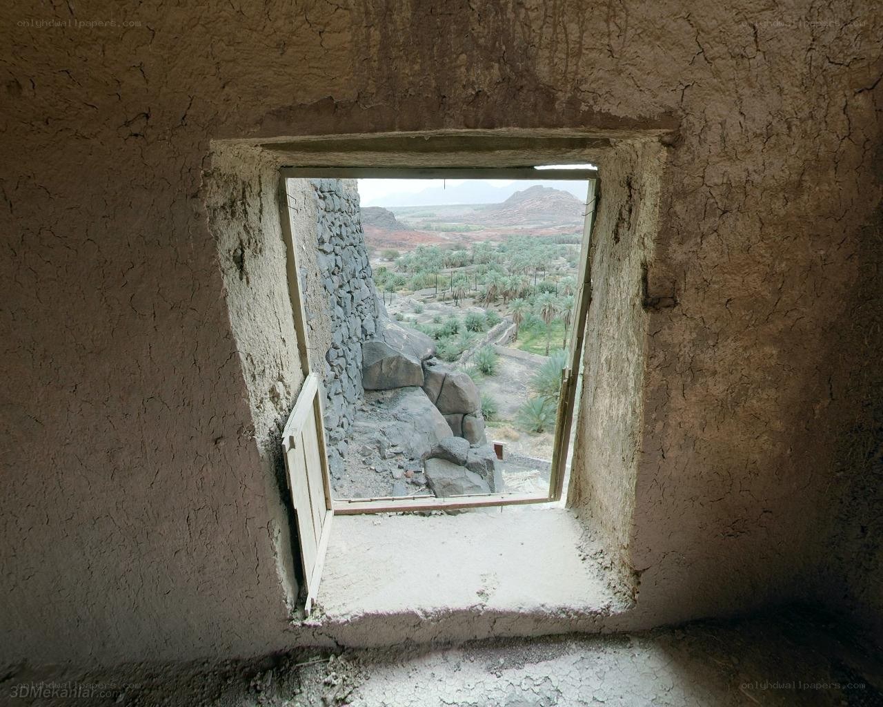 Window view of desert oasis