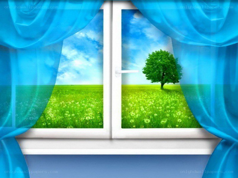 window view of green field