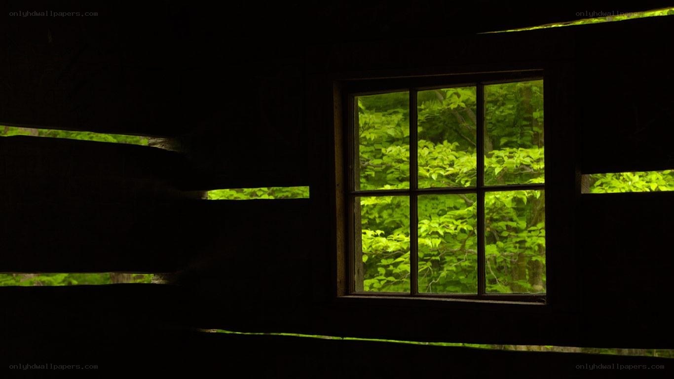 window view of green forest