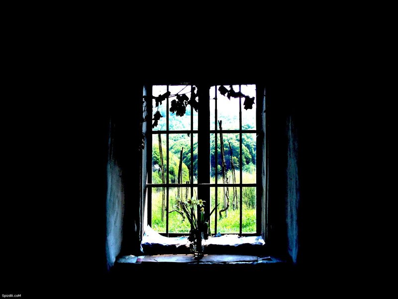 window view of green landscape