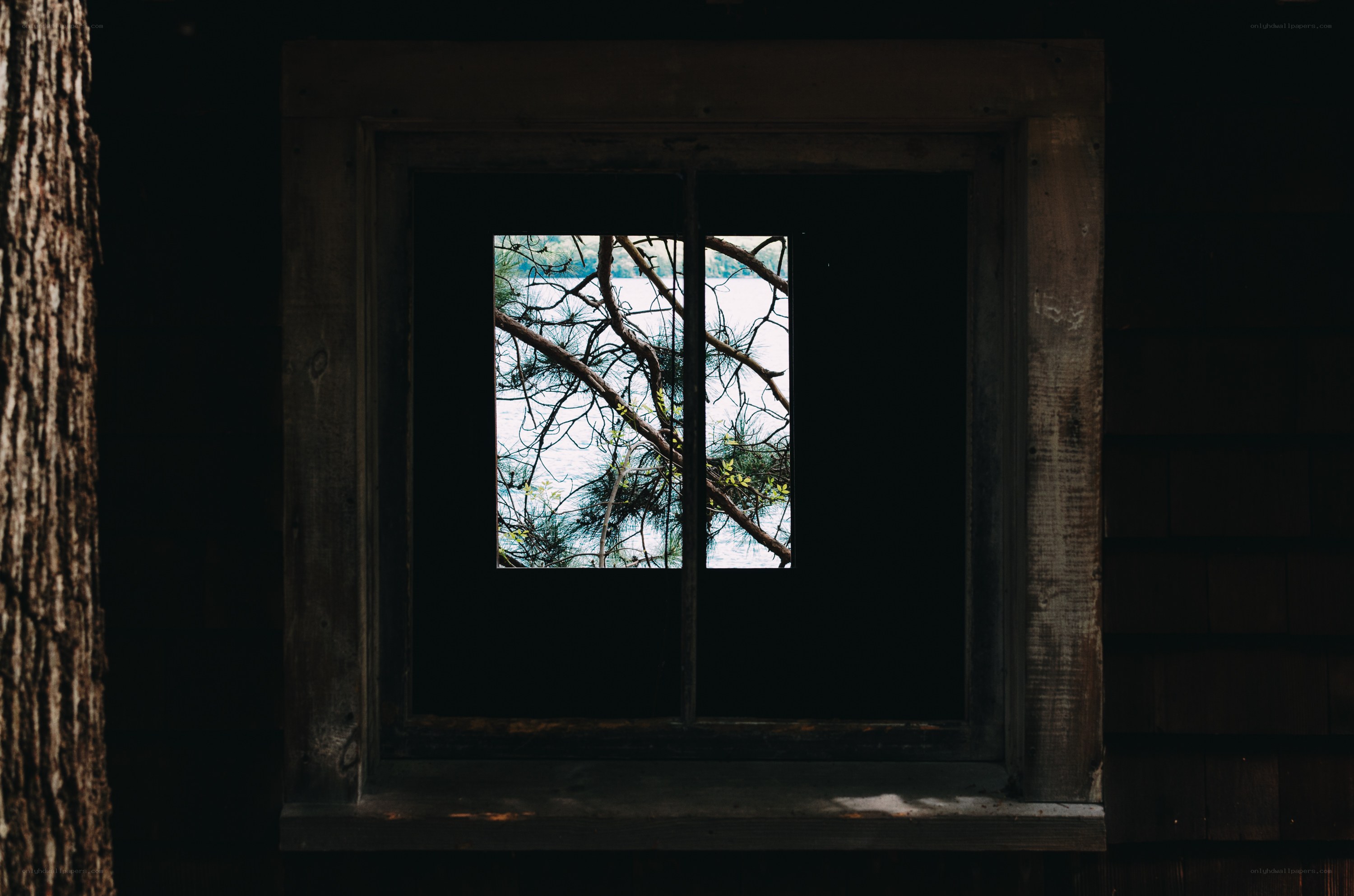 Window view of lake and trees