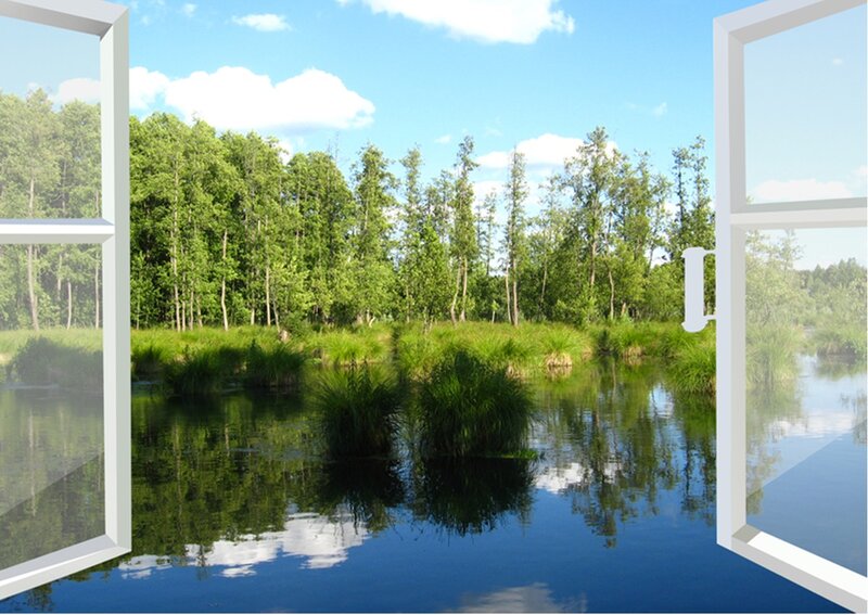 Window View of Pond