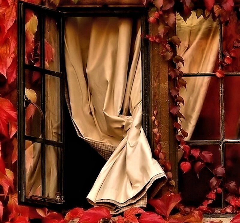 Window with Autumn Leaves