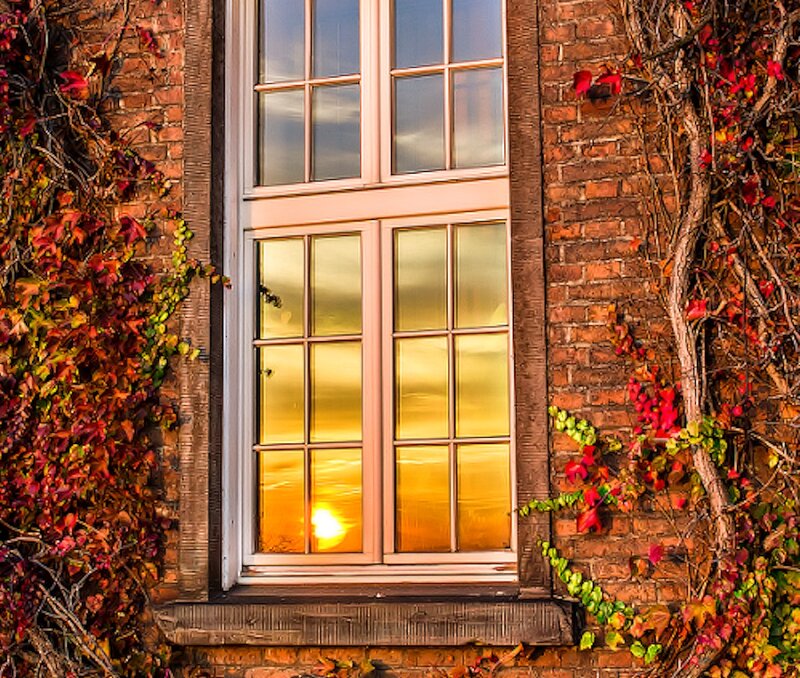 Window with Autumn Vines