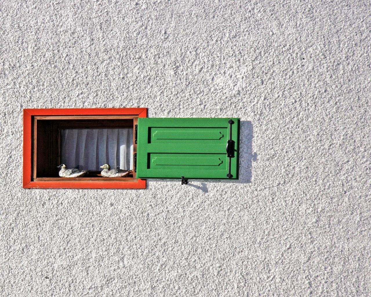 Window with ducks and shutters