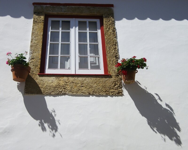 window with flower pots