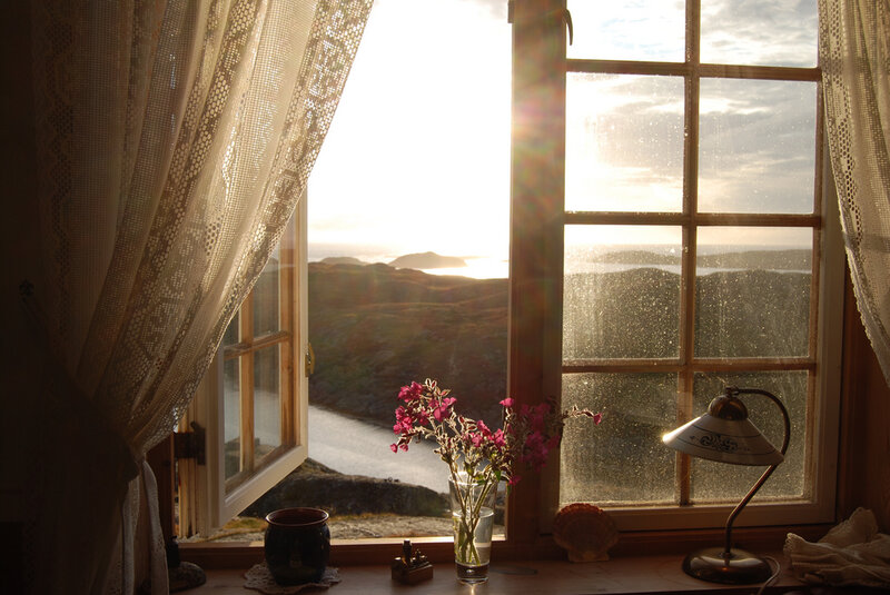Window with Flowers and Lamp