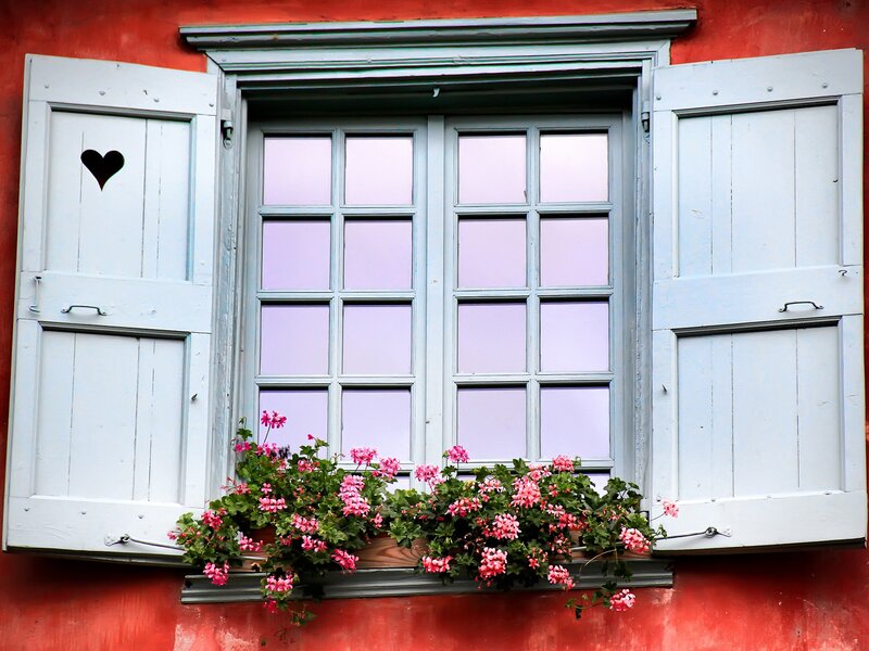 window with flowers and shutters