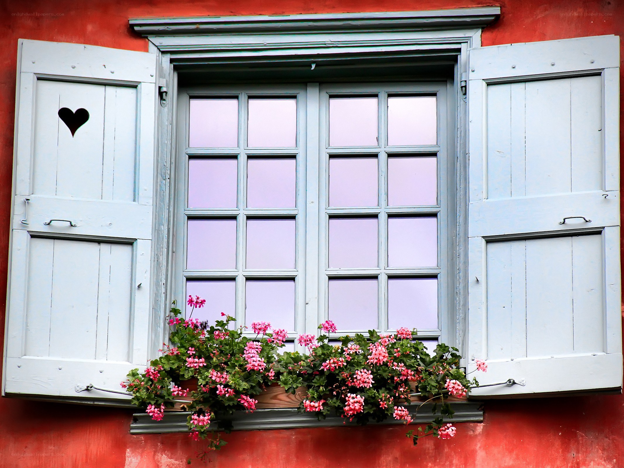 window with flowers and shutters