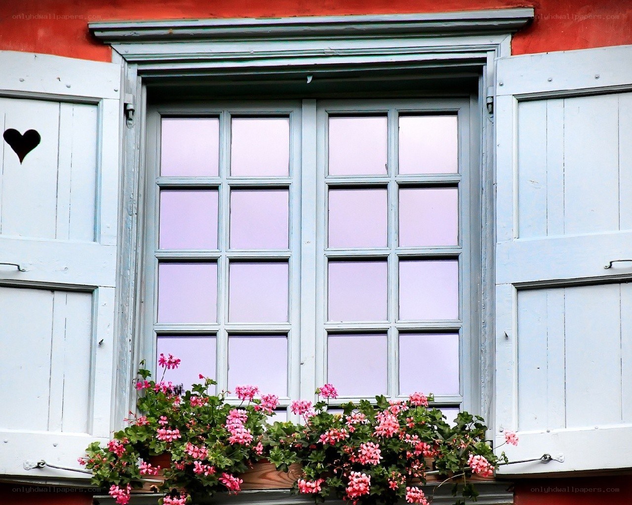 window with flowers and shutters