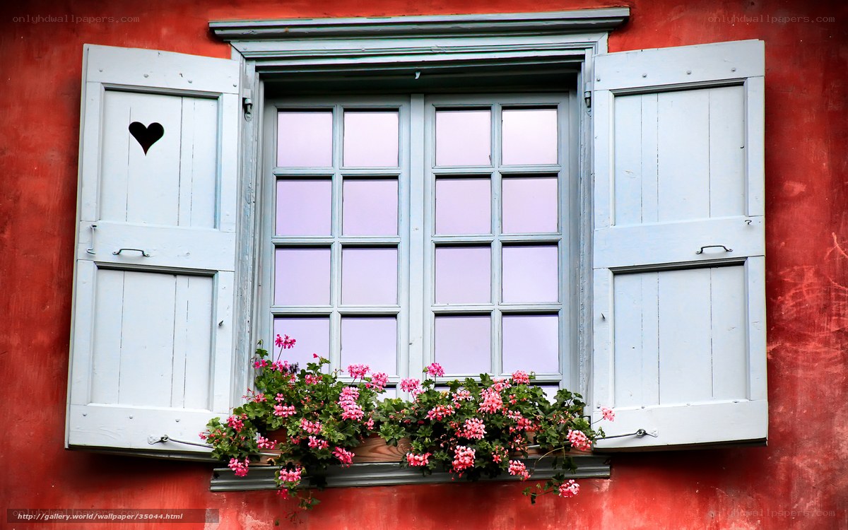 window with flowers and shutters